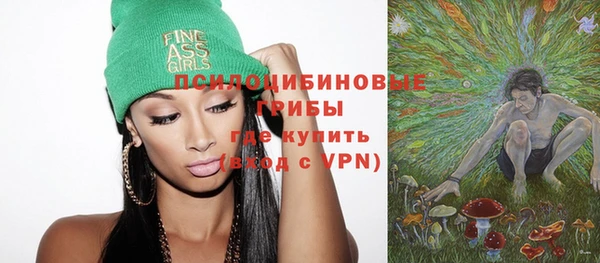 бошки Дмитриев