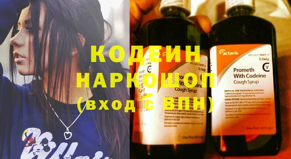 трава Новозыбков