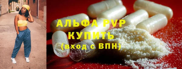 бошки Дмитриев