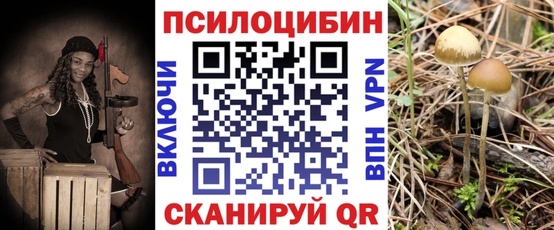 Псилоцибиновые грибы Magic Shrooms  Приозерск 