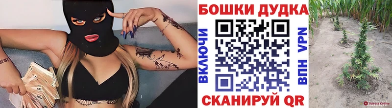 Бошки марихуана конопля  Приозерск 